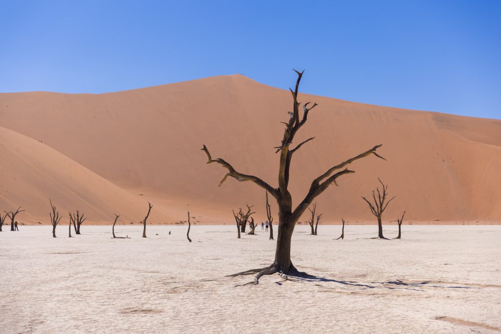 Sossusvlei Delight Tour